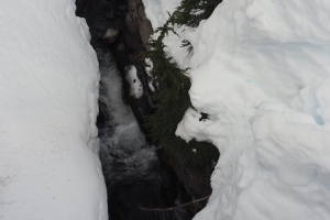 Mt. Rainier