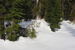 P2190928